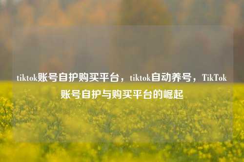 tiktok账号自护购买平台，tiktok自动养号，TikTok账号自护与购买平台的崛起
