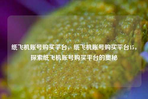 纸飞机账号购买平台，纸飞机账号购买平台15，探索纸飞机账号购买平台的奥秘