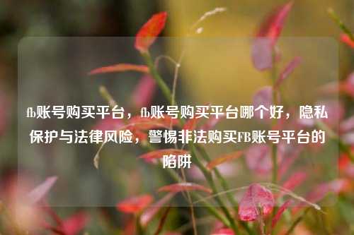 fb账号购买平台，fb账号购买平台哪个好，隐私保护与法律风险，警惕非法购买FB账号平台的陷阱