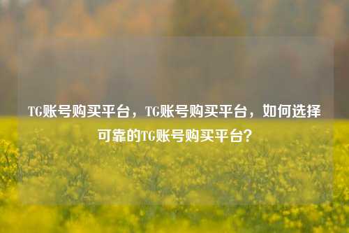 TG账号购买平台，TG账号购买平台，如何选择可靠的TG账号购买平台？