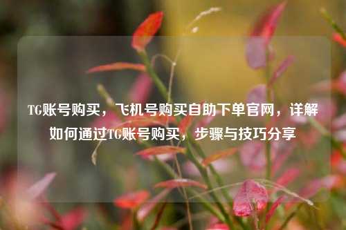 TG账号购买，飞机号购买自助下单官网，详解如何通过TG账号购买，步骤与技巧分享