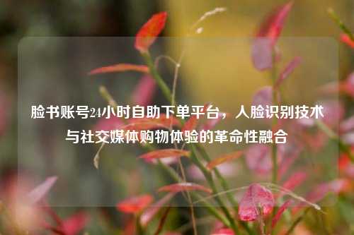 脸书账号24小时自助下单平台，人脸识别技术与社交媒体购物体验的革命性融合