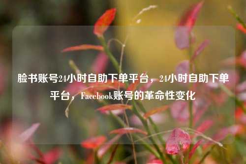 脸书账号24小时自助下单平台，24小时自助下单平台，Facebook账号的革命性变化