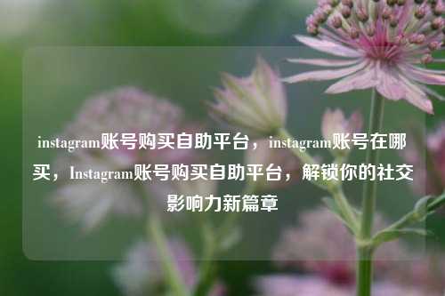 instagram账号购买自助平台，instagram账号在哪买，Instagram账号购买自助平台，解锁你的社交影响力新篇章