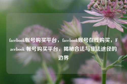 facebook帐号购买平台，facebook账号在线购买，Facebook 帐号购买平台，揭秘合法与非法途径的边界