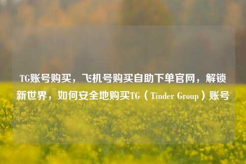 TG账号购买，飞机号购买自助下单官网，解锁新世界，如何安全地购买TG（Tinder Group）账号