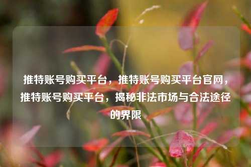 推特账号购买平台，推特账号购买平台官网，推特账号购买平台，揭秘非法市场与合法途径的界限