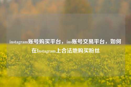 instagram账号购买平台，ins账号交易平台，如何在Instagram上合法地购买粉丝