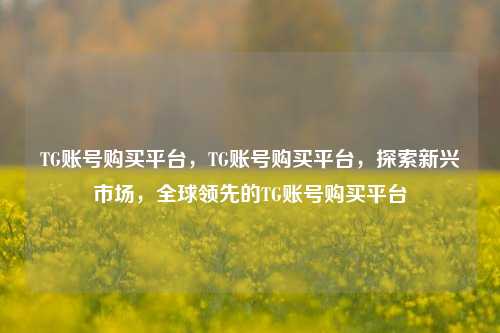 TG账号购买平台，TG账号购买平台，探索新兴市场，全球领先的TG账号购买平台