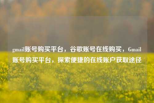 gmail账号购买平台，谷歌账号在线购买，Gmail账号购买平台，探索便捷的在线账户获取途径