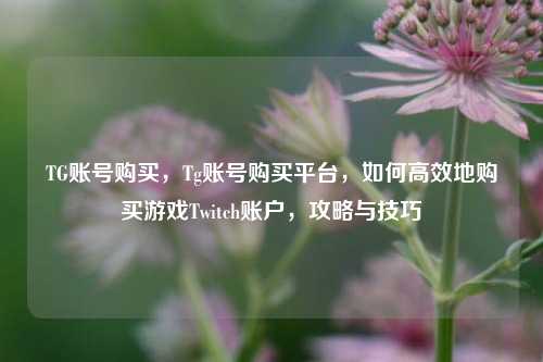 TG账号购买，Tg账号购买平台，如何高效地购买游戏Twitch账户，攻略与技巧