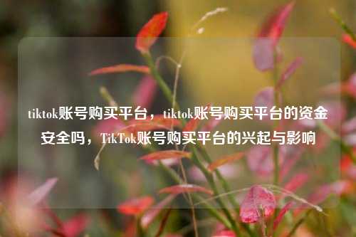 tiktok账号购买平台，tiktok账号购买平台的资金安全吗，TikTok账号购买平台的兴起与影响