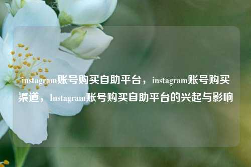 instagram账号购买自助平台，instagram账号购买渠道，Instagram账号购买自助平台的兴起与影响