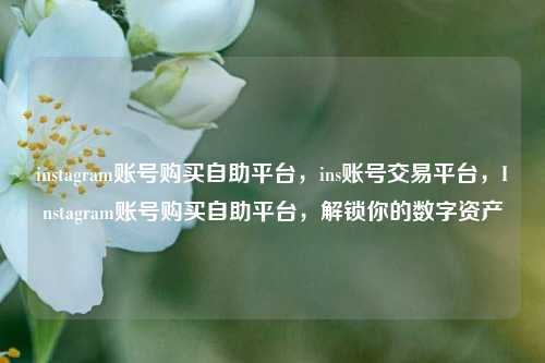 instagram账号购买自助平台，ins账号交易平台，Instagram账号购买自助平台	，解锁你的数字资产  第1张