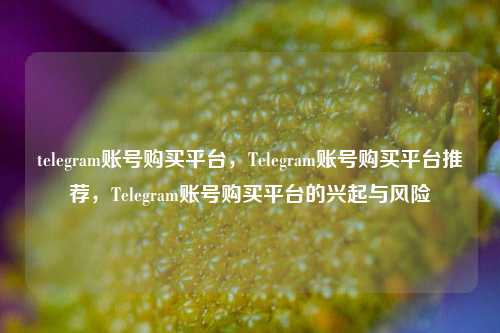 telegram账号购买平台，Telegram账号购买平台推荐，Telegram账号购买平台的兴起与风险