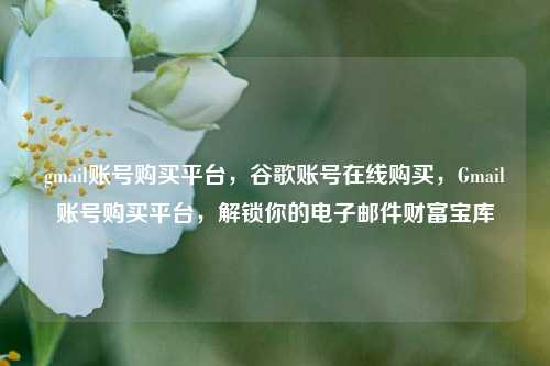 gmail账号购买平台，谷歌账号在线购买，Gmail账号购买平台，解锁你的电子邮件财富宝库