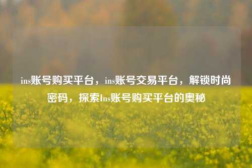 ins账号购买平台，ins账号交易平台，解锁时尚密码，探索Ins账号购买平台的奥秘