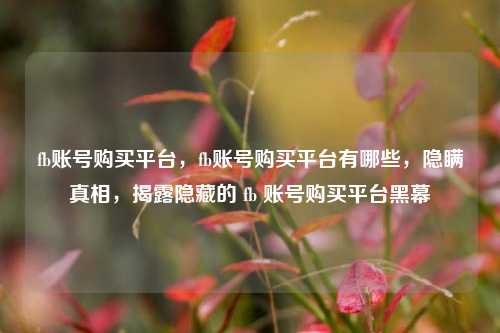 fb账号购买平台，fb账号购买平台有哪些，隐瞒真相，揭露隐藏的 fb 账号购买平台黑幕