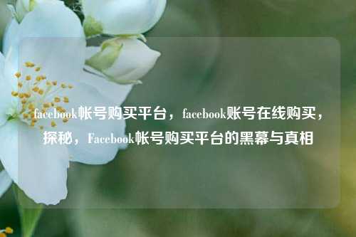 facebook帐号购买平台，facebook账号在线购买，探秘，Facebook帐号购买平台的黑幕与真相