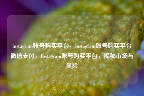 instagram账号购买平台，instagram账号购买平台微信支付，Instagram账号购买平台，揭秘市场与风险