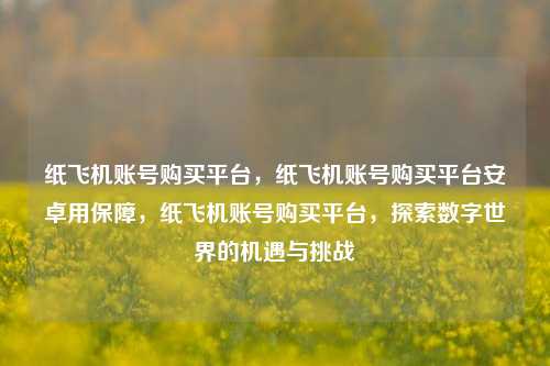 纸飞机账号购买平台，纸飞机账号购买平台安卓用保障	，纸飞机账号购买平台，探索数字世界的机遇与挑战  第1张