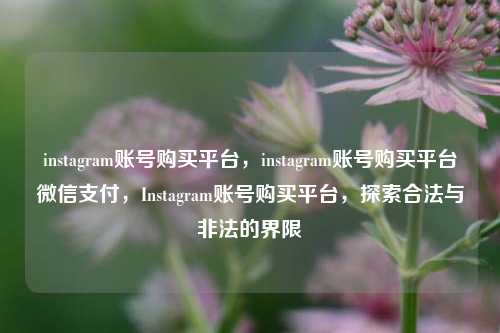 instagram账号购买平台，instagram账号购买平台微信支付，Instagram账号购买平台，探索合法与非法的界限