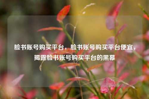 脸书账号购买平台，脸书账号购买平台便宜，揭露脸书账号购买平台的黑幕
