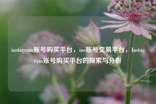 instagram账号购买平台，ins账号交易平台，Instagram账号购买平台的探索与分析