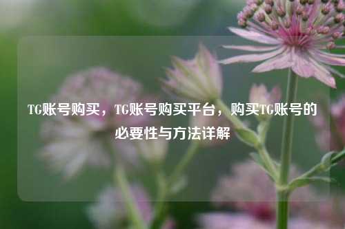 TG账号购买，TG账号购买平台，购买TG账号的必要性与方法详解