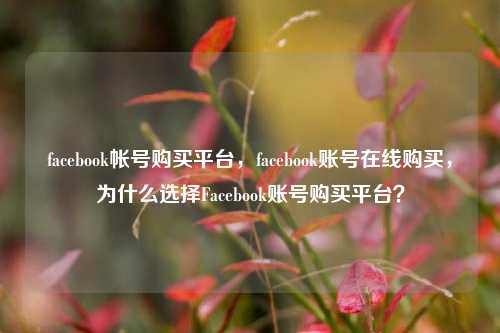 facebook帐号购买平台，facebook账号在线购买，为什么选择Facebook账号购买平台？  第1张
