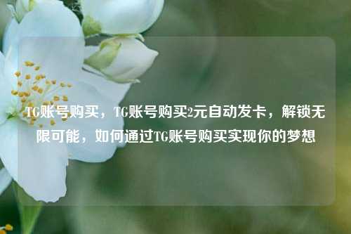 TG账号购买，TG账号购买2元自动发卡，解锁无限可能，如何通过TG账号购买实现你的梦想