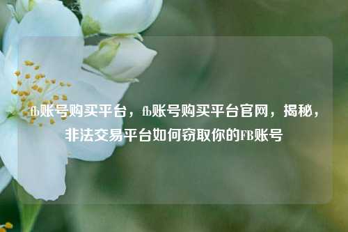 fb账号购买平台，fb账号购买平台官网，揭秘，非法交易平台如何窃取你的FB账号