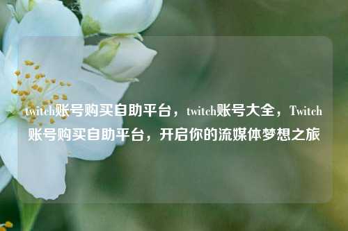 twitch账号购买自助平台，twitch账号大全，Twitch账号购买自助平台，开启你的流媒体梦想之旅