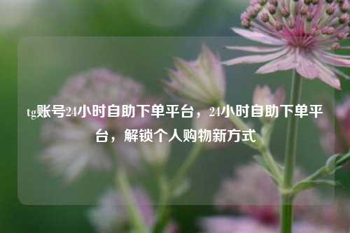 tg账号24小时自助下单平台，24小时自助下单平台，解锁个人购物新方式