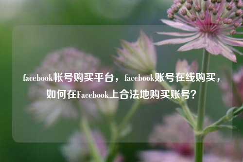 facebook帐号购买平台，facebook账号在线购买，如何在Facebook上合法地购买账号？
