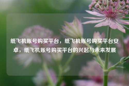 纸飞机账号购买平台，纸飞机账号购买平台安卓，纸飞机账号购买平台的兴起与未来发展