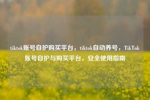 tiktok账号自护购买平台，tiktok自动养号，TikTok账号自护与购买平台，安全使用指南