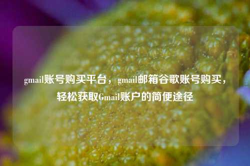 gmail账号购买平台，gmail邮箱谷歌账号购买，轻松获取Gmail账户的简便途径