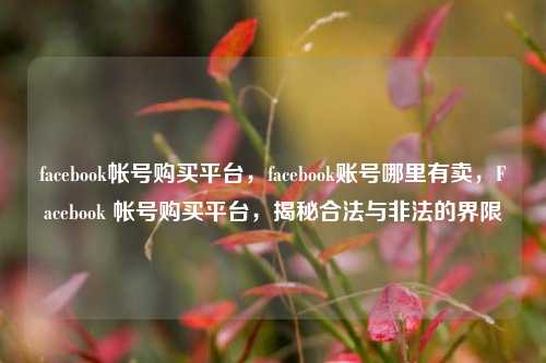 facebook帐号购买平台，facebook账号哪里有卖，Facebook 帐号购买平台，揭秘合法与非法的界限