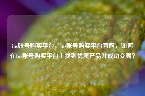 ins账号购买平台，ins账号购买平台官网，如何在Ins账号购买平台上找到优质产品并成功交易？