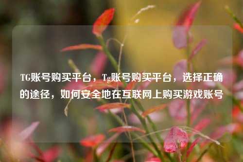 TG账号购买平台，Tg账号购买平台，选择正确的途径，如何安全地在互联网上购买游戏账号