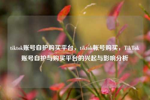 tiktok账号自护购买平台，tiktok帐号购买，TikTok账号自护与购买平台的兴起与影响分析