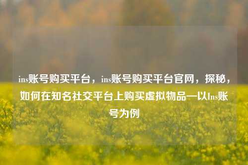ins账号购买平台，ins账号购买平台官网，探秘，如何在知名社交平台上购买虚拟物品—以Ins账号为例