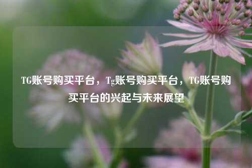 TG账号购买平台，Tg账号购买平台，TG账号购买平台的兴起与未来展望