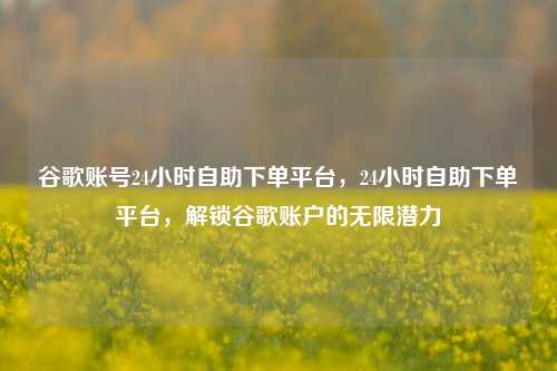 谷歌账号24小时自助下单平台，24小时自助下单平台，解锁谷歌账户的无限潜力
