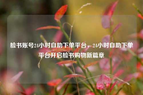 脸书账号24小时自助下单平台，24小时自助下单平台开启脸书购物新篇章