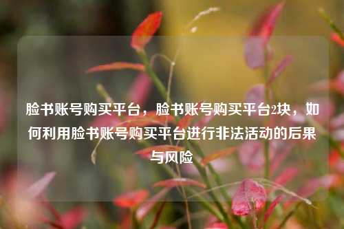 脸书账号购买平台，脸书账号购买平台2块，如何利用脸书账号购买平台进行非法活动的后果与风险