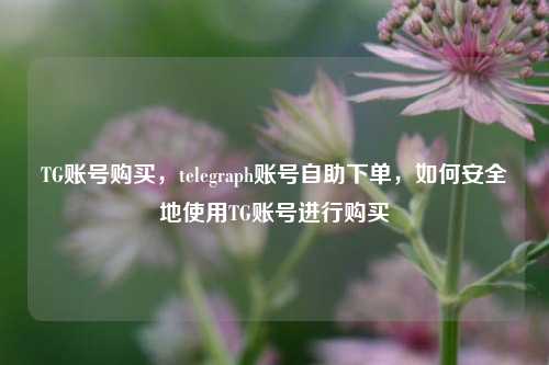 TG账号购买，telegraph账号自助下单，如何安全地使用TG账号进行购买