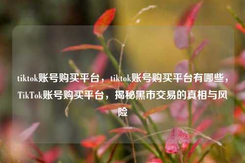tiktok账号购买平台，tiktok账号购买平台有哪些，TikTok账号购买平台，揭秘黑市交易的真相与风险