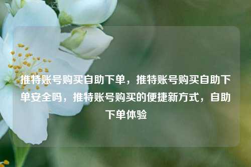 推特账号购买自助下单，推特账号购买自助下单安全吗，推特账号购买的便捷新方式，自助下单体验